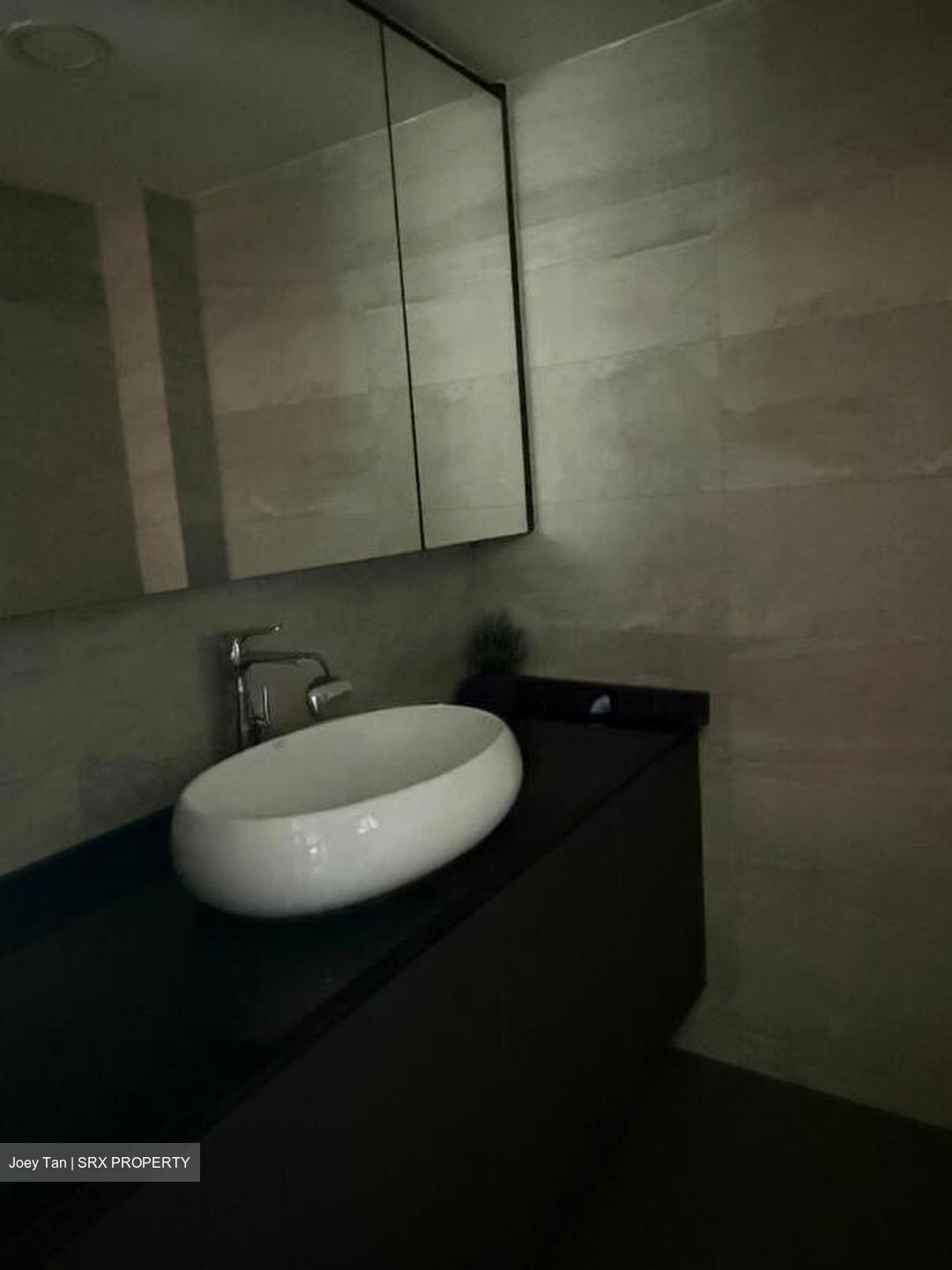Melville Park (D18), Condominium #523700811